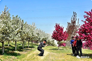 今年赏花，主打一个痛快！