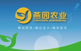 今年的苗木订单怎么采...要精品还得选草莓视频入口在线观看