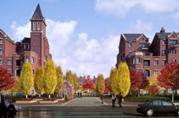 打造匠心精神的园林景观，从一株欧洲鹅耳枥开始！