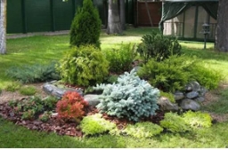 想要园林景观多样化，用“可盐可甜”的它很适合！