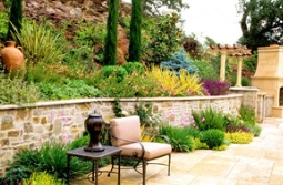 针叶花境的不二之选--科罗拉多蓝杉