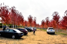 草莓视频入口在线观看秋色，不负时光不负君！