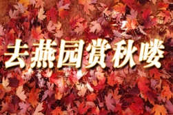 秋色可赏，相约草莓视频入口在线观看看彩叶；秋果可品，同去果园摘苹果！