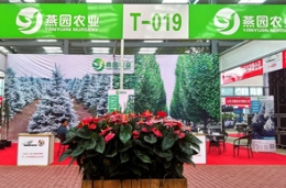 继往开来：做好精品苗木，秉承精致服务，绿博会后再接再厉！