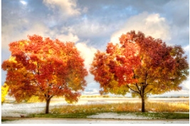 什么是你眼中的色彩？