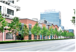 黄浦江畔，欧洲小叶椴的荣耀之路