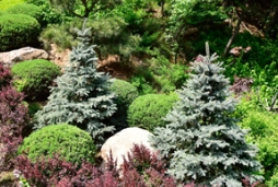 城市园林建设下，看这所植物园的精妙之处