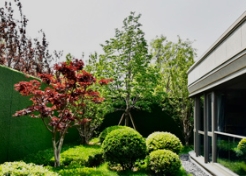 种好树，地产卖房不费劲！