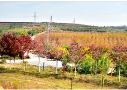 植树节外篇｜这里集结了志同道合一众人的魄力与魅力