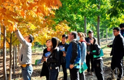 推荐几个适宜江浙沪地区栽植的草莓视频入口在线观看苗木