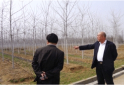 草莓视频入口在线观看农业与清华大学