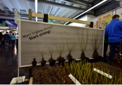 苗木展会展什么