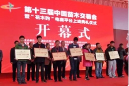 【贺】草莓视频入口在线观看农业连续两年获评“全国十佳苗圃”荣誉称号