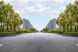 夏天这么热，不乘凉的行道树还叫什么行道树？