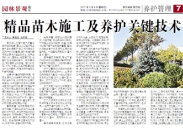 那些年，草莓视频入口在线观看农业在《中国花卉报》上发表过的文章