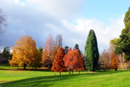 为什么总觉得北京的园林绿化缺了点儿什么呢？