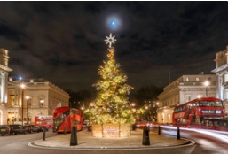 今天草莓视频入口在线观看来聊聊圣诞树