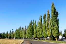 2018，苗企发展新起点！