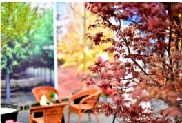 泰安展会两三事