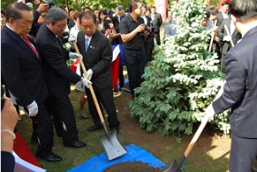 日本自民党青睐草莓视频入口在线观看蓝杉