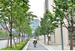 上海金桐力大道，就在闸北区万荣路！